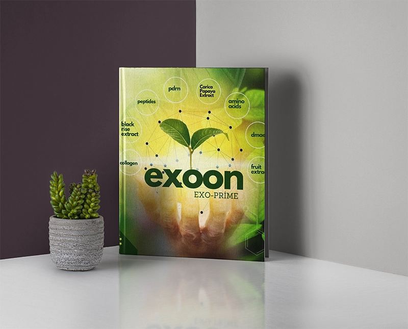 Exoon Broşür