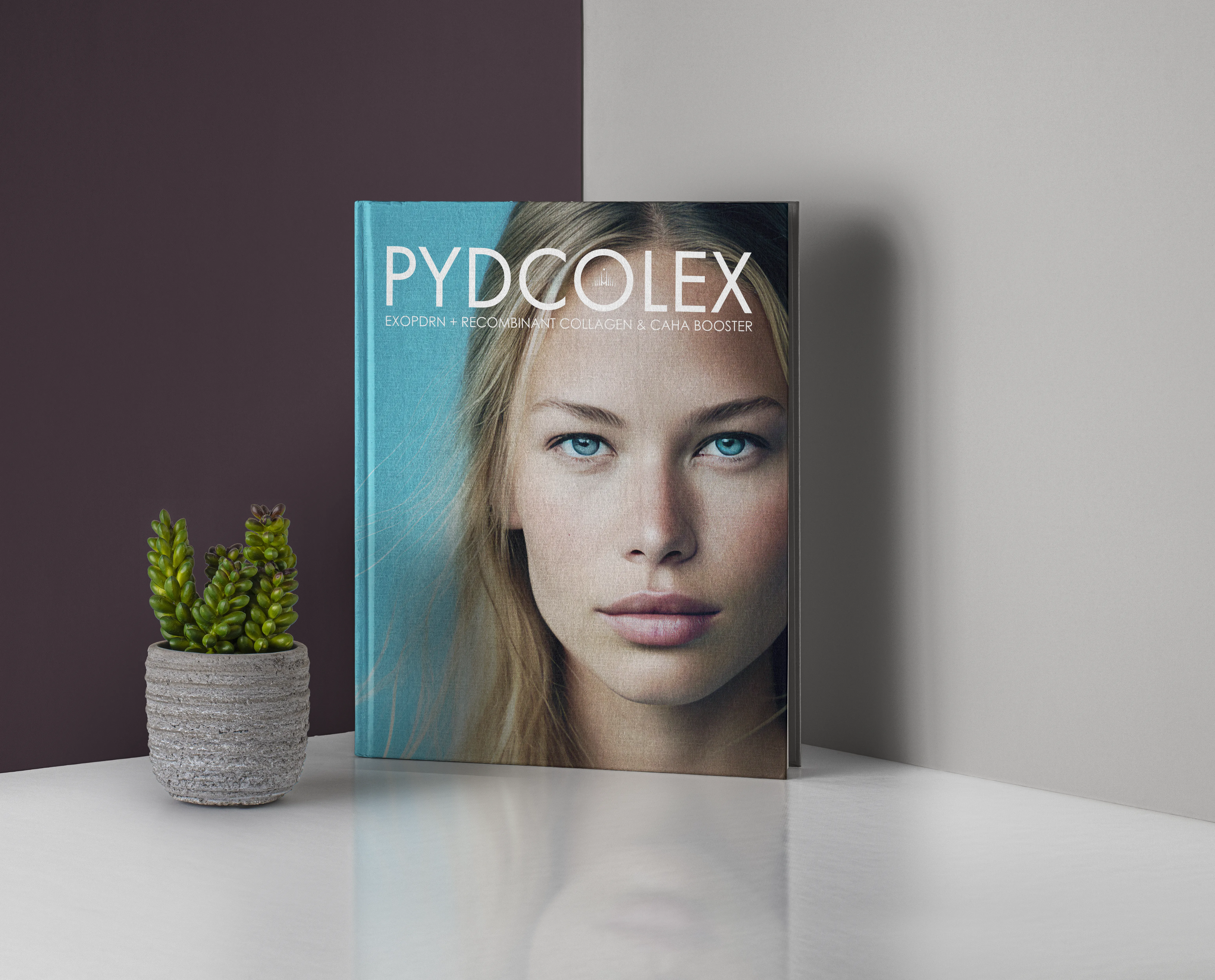 Pydcolex Broşür